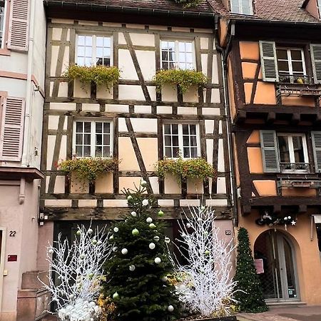 Les Suites Du Cygne Colmar Bagian luar foto