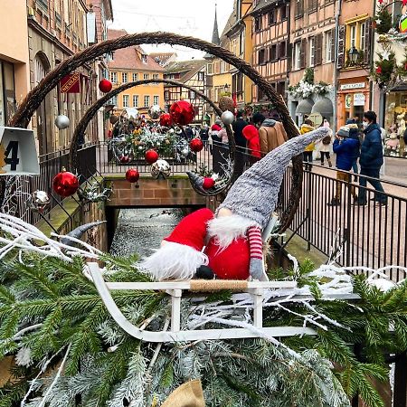 Les Suites Du Cygne Colmar Bagian luar foto