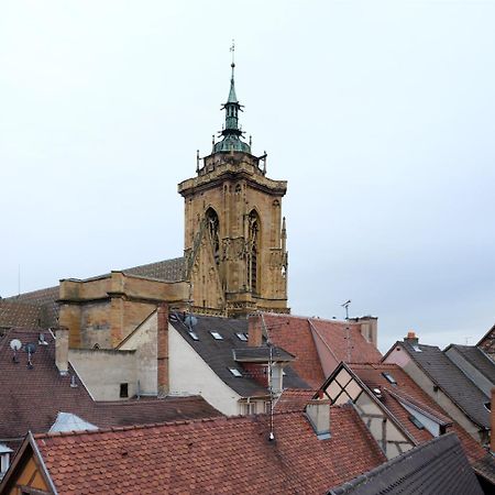 Les Suites Du Cygne Colmar Bagian luar foto