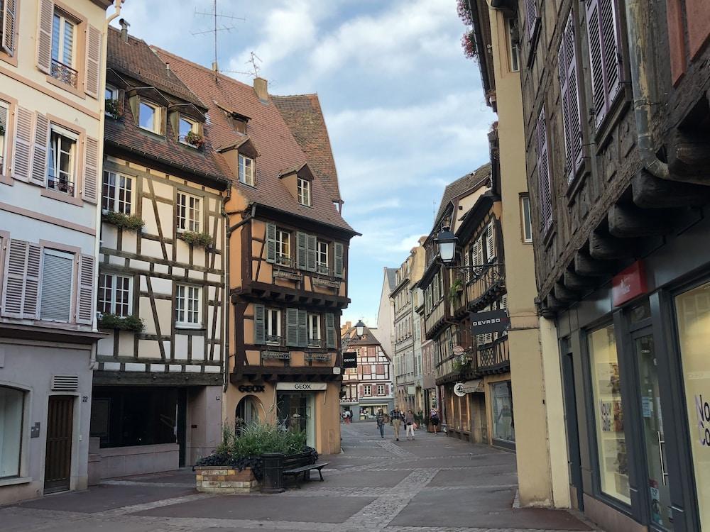 Les Suites Du Cygne Colmar Bagian luar foto