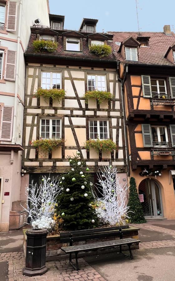 Les Suites Du Cygne Colmar Bagian luar foto