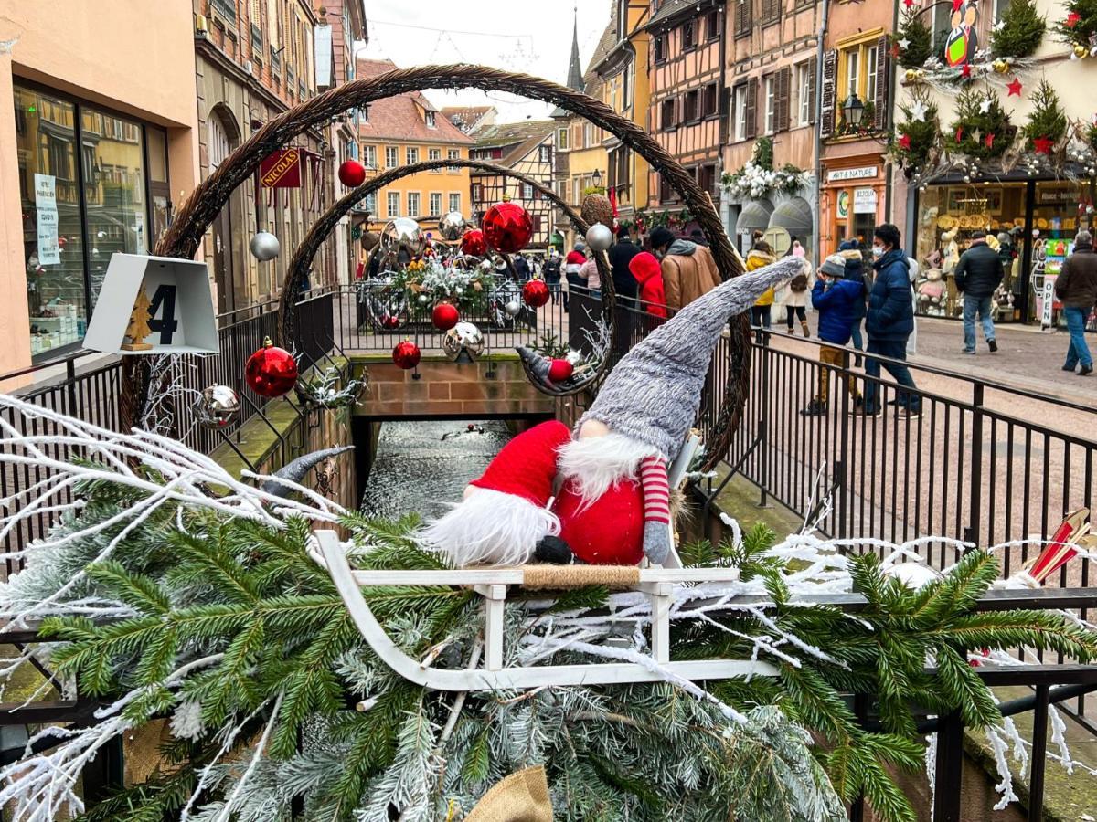 Les Suites Du Cygne Colmar Bagian luar foto