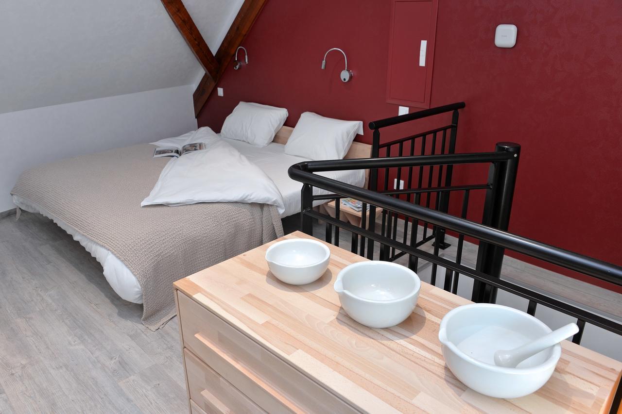 Les Suites Du Cygne Colmar Ruang foto