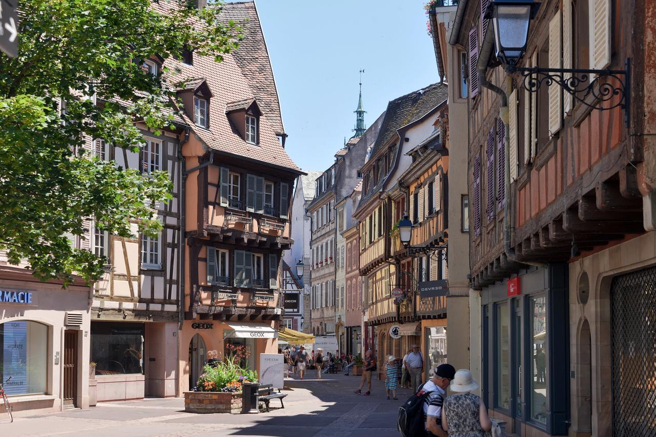 Les Suites Du Cygne Colmar Bagian luar foto