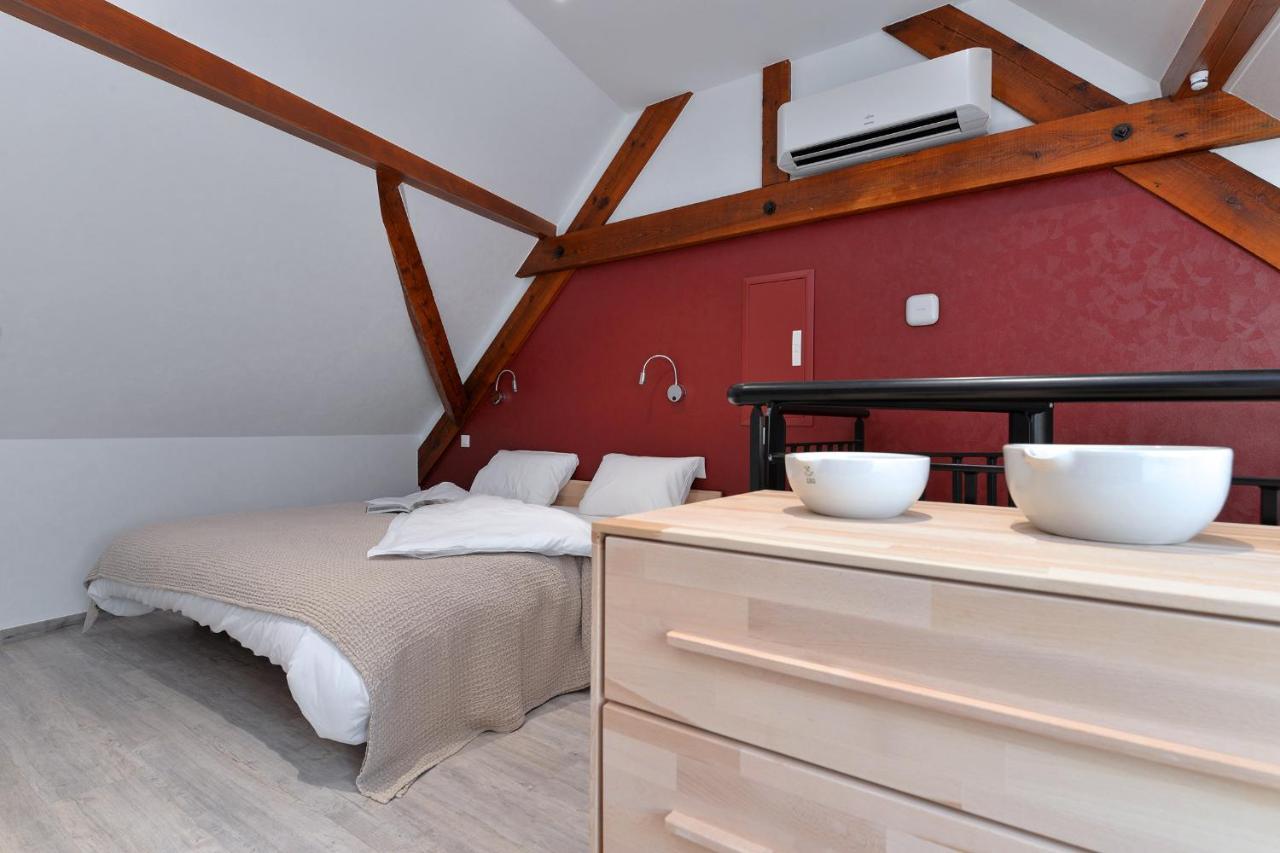 Les Suites Du Cygne Colmar Bagian luar foto