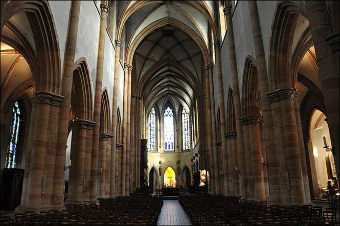 Les Suites Du Cygne Colmar Bagian luar foto