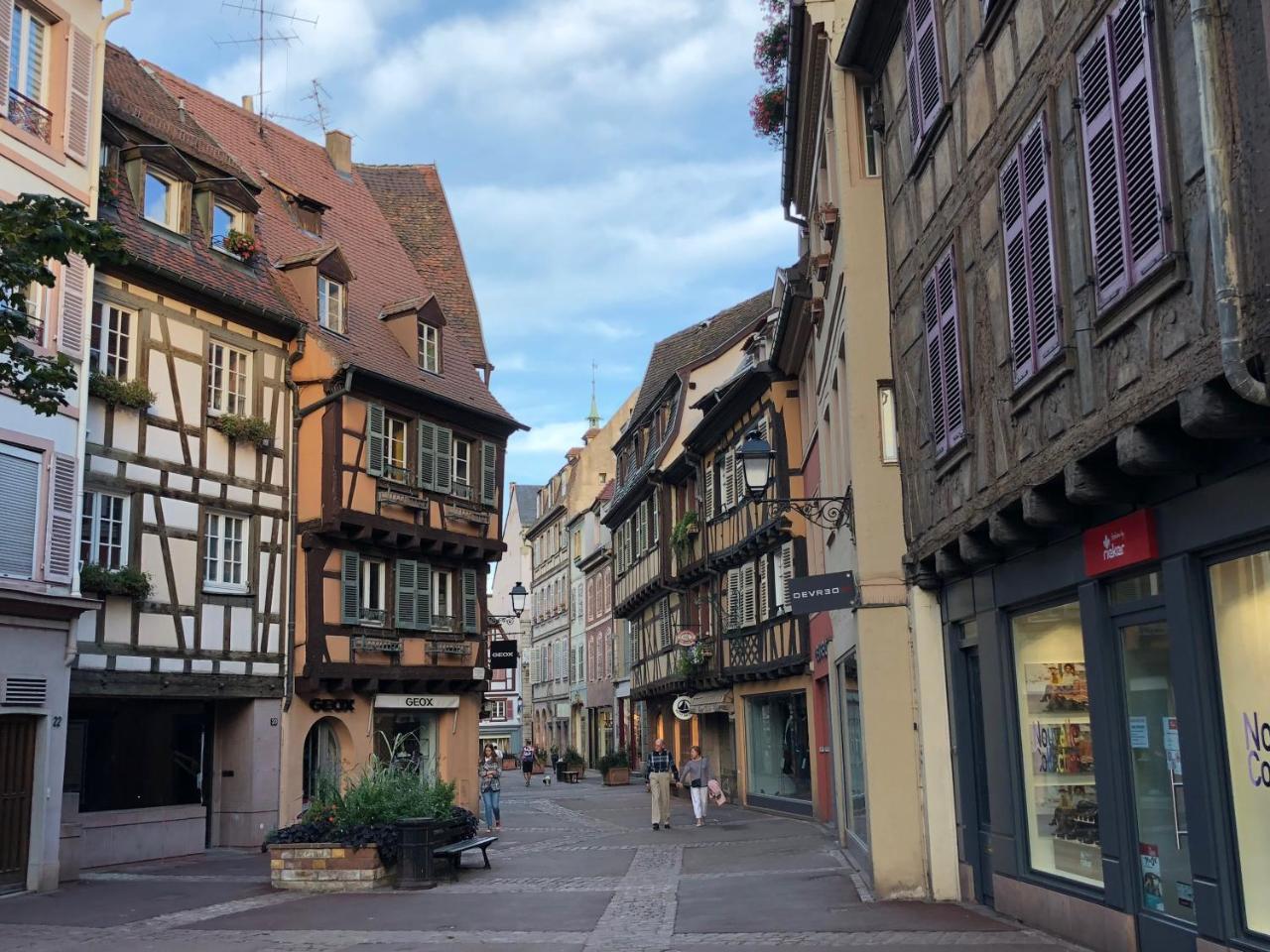 Les Suites Du Cygne Colmar Bagian luar foto