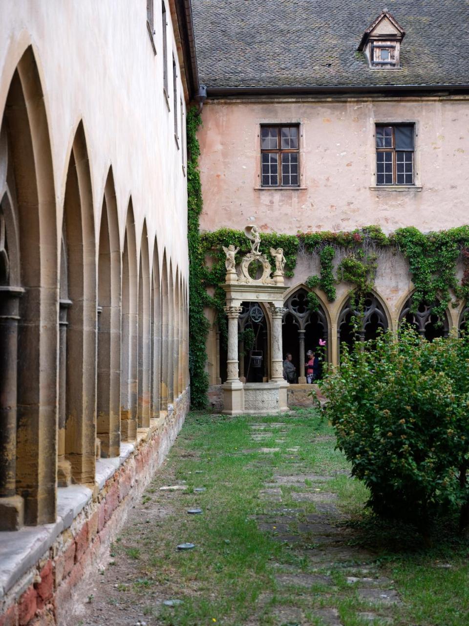 Les Suites Du Cygne Colmar Bagian luar foto