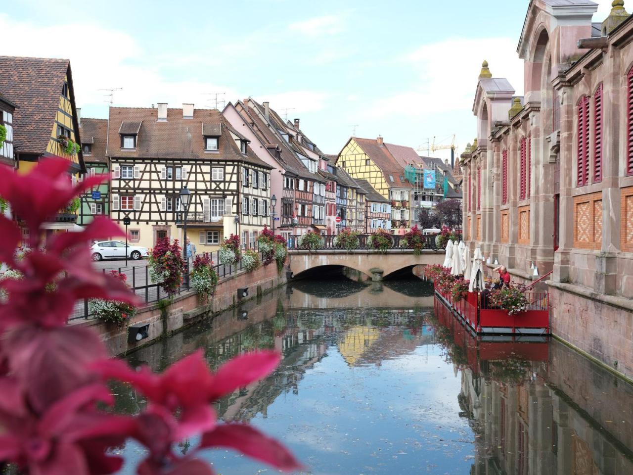 Les Suites Du Cygne Colmar Bagian luar foto