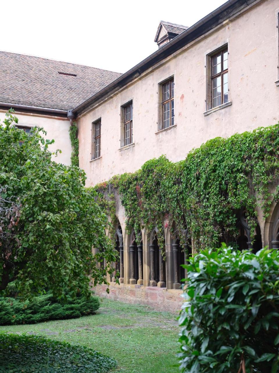 Les Suites Du Cygne Colmar Bagian luar foto